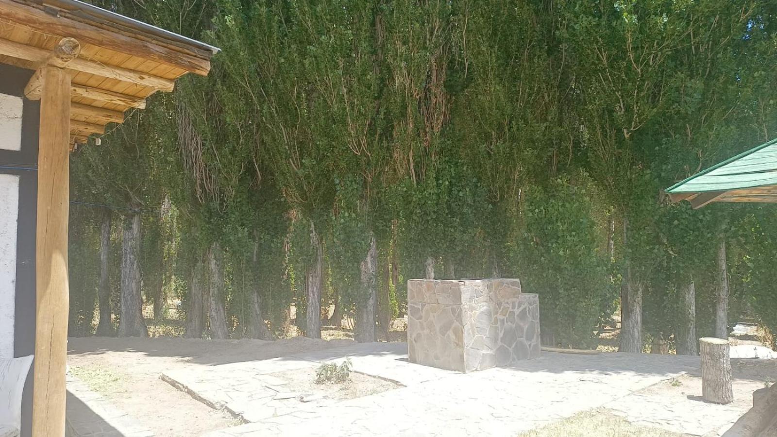 Cabanas De Los Andes Uspallata Exterior foto
